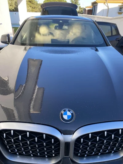Car detailing